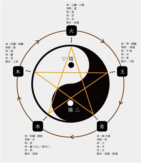 陰陽 分類|陰 陽 ・五 行 に つ い て